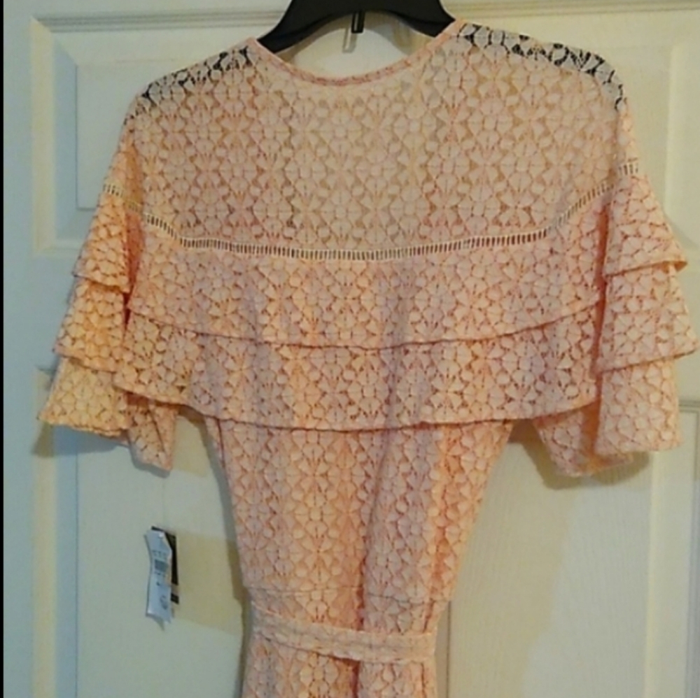 Embroidered Lace Ruffle Dress - Picture 3 of 10